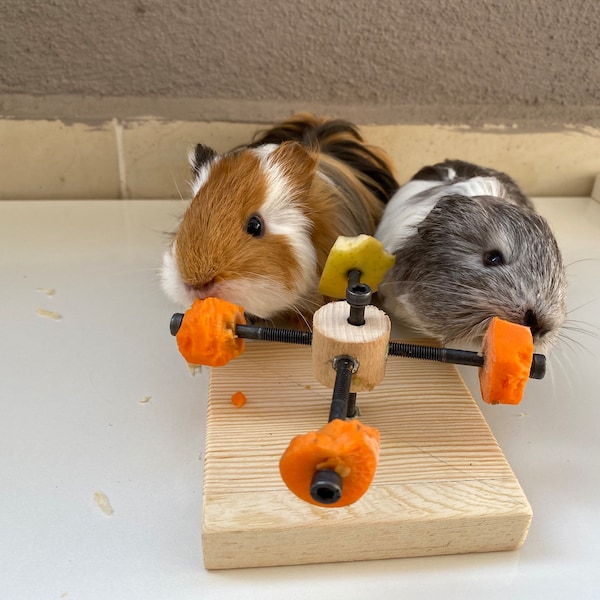 Guinea Pig Twister Feeder Toy, guinea pig wheel, guinea pig food holder, guinea pig wood toy, rotating toy