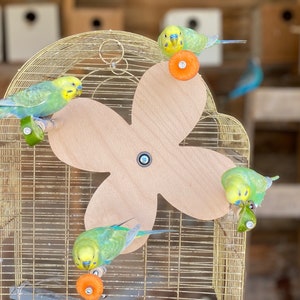 Parrot foraging wheel hot sale