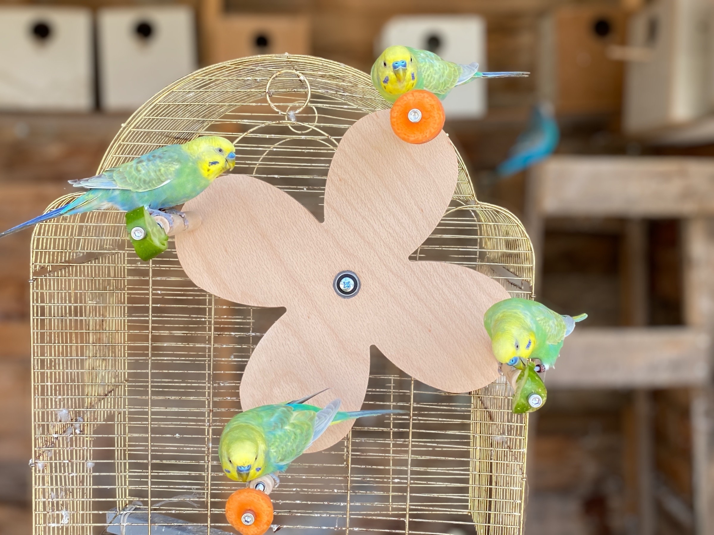 Roue de perchoir à fleurs rotative avec supports de nourriture