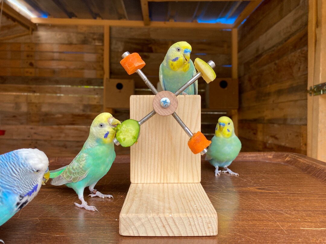 Walbest Pet Bird Parrot Parakeet Swing Budgie Cockatiel Wooden Cage Hammock Swing Hanging Toy