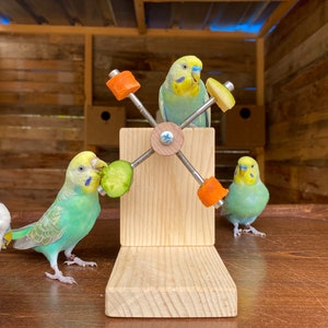 Fresh Food Holder Toy for Birds, Eat and Play Wheel for budgie, budgerigar, parakeet, parrot, conure, cockatiel, lovebird, quaker, forpus