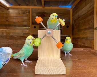 Fresh Food Holder Toy for Birds, Eat and Play Wheel for budgie, budgerigar, parakeet, parrot, conure, cockatiel, lovebird, quaker, forpus