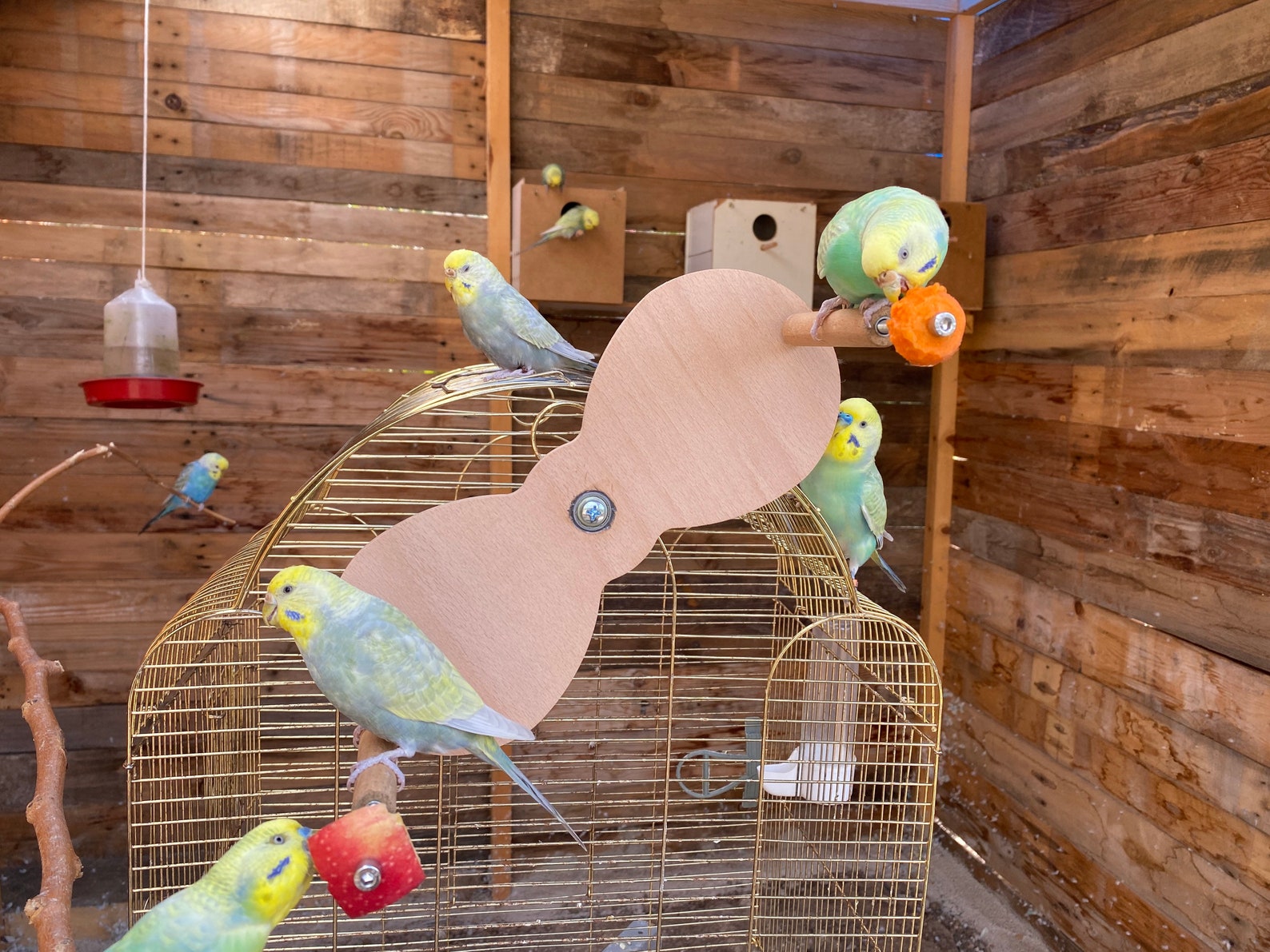 Foraging Swing for Birds Rotating Teeter Totter Toy for Etsy