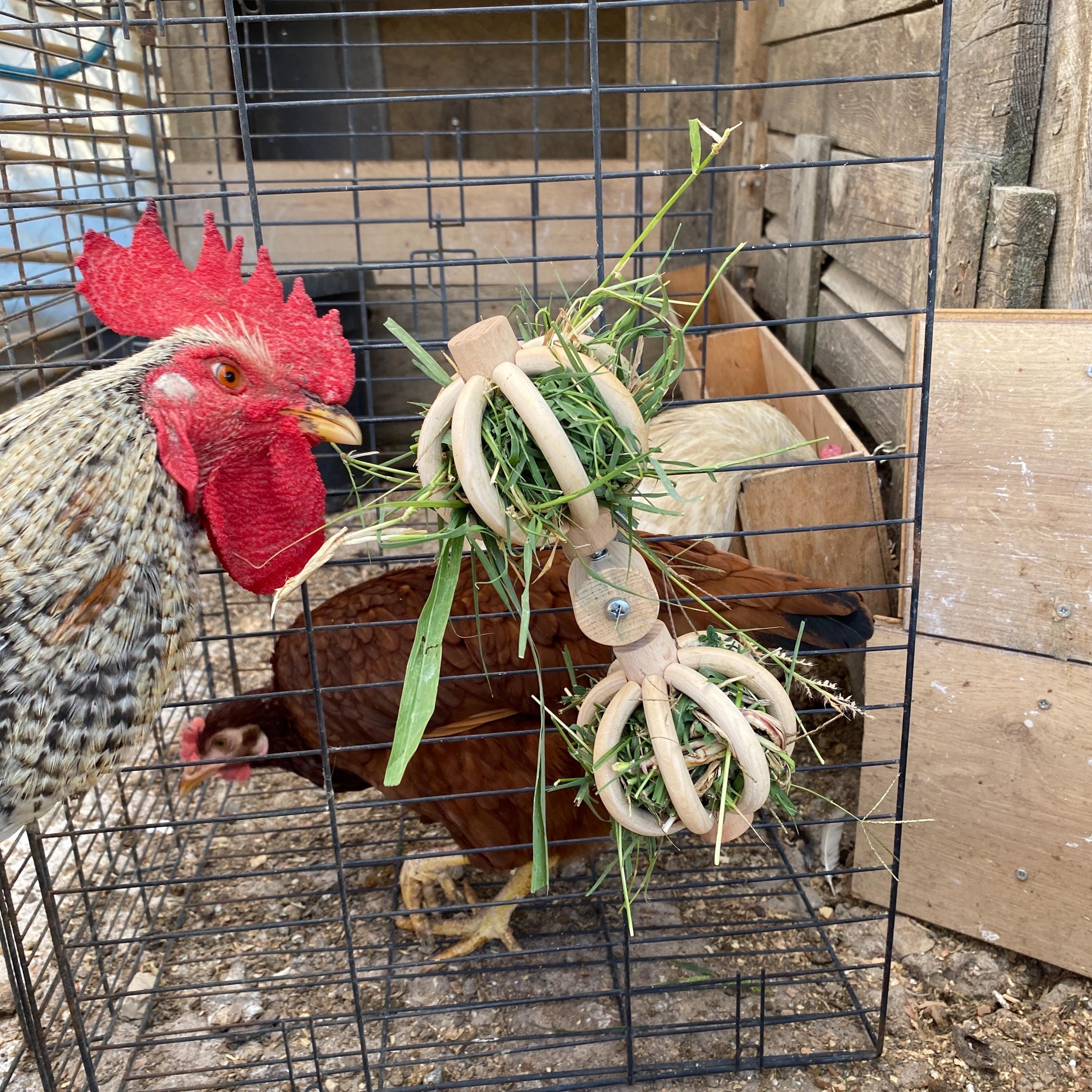 Jouet Miroir Et Balançoire Pour Poules - Anti-ennui - Avec Clochette Et Pierre à Bec - Pour Poulailler Jardin - 10