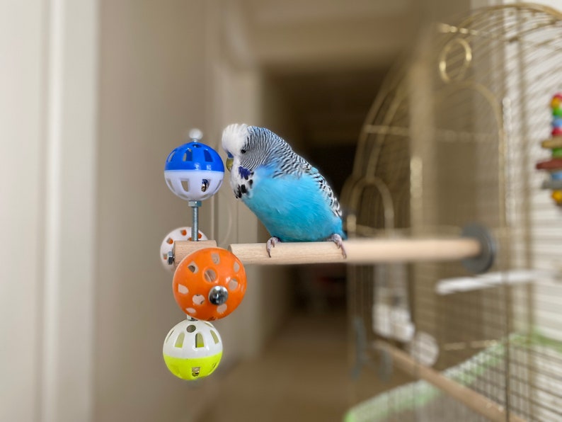 Perch Toy with Rotating Balls for Budgies, Budgerigars, Parakeets, Parrots, Cockatiels, Parrotlets, Lovebirds, Ringnecks, Conures and birds. image 2