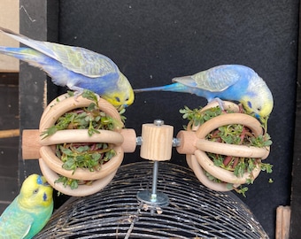 May include: Two blue and yellow budgies eating from a wooden bird toy with two round compartments filled with green leafy plants. The toy is attached to a metal cage.