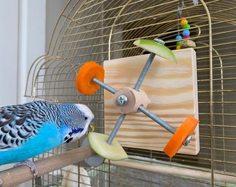 Fresh Food Feeder, Holder Toy for Birds, Feeder Wheel for budgies, parakeets, parrots, cockatiels, conures, parrotlets, budgerigars, caiques