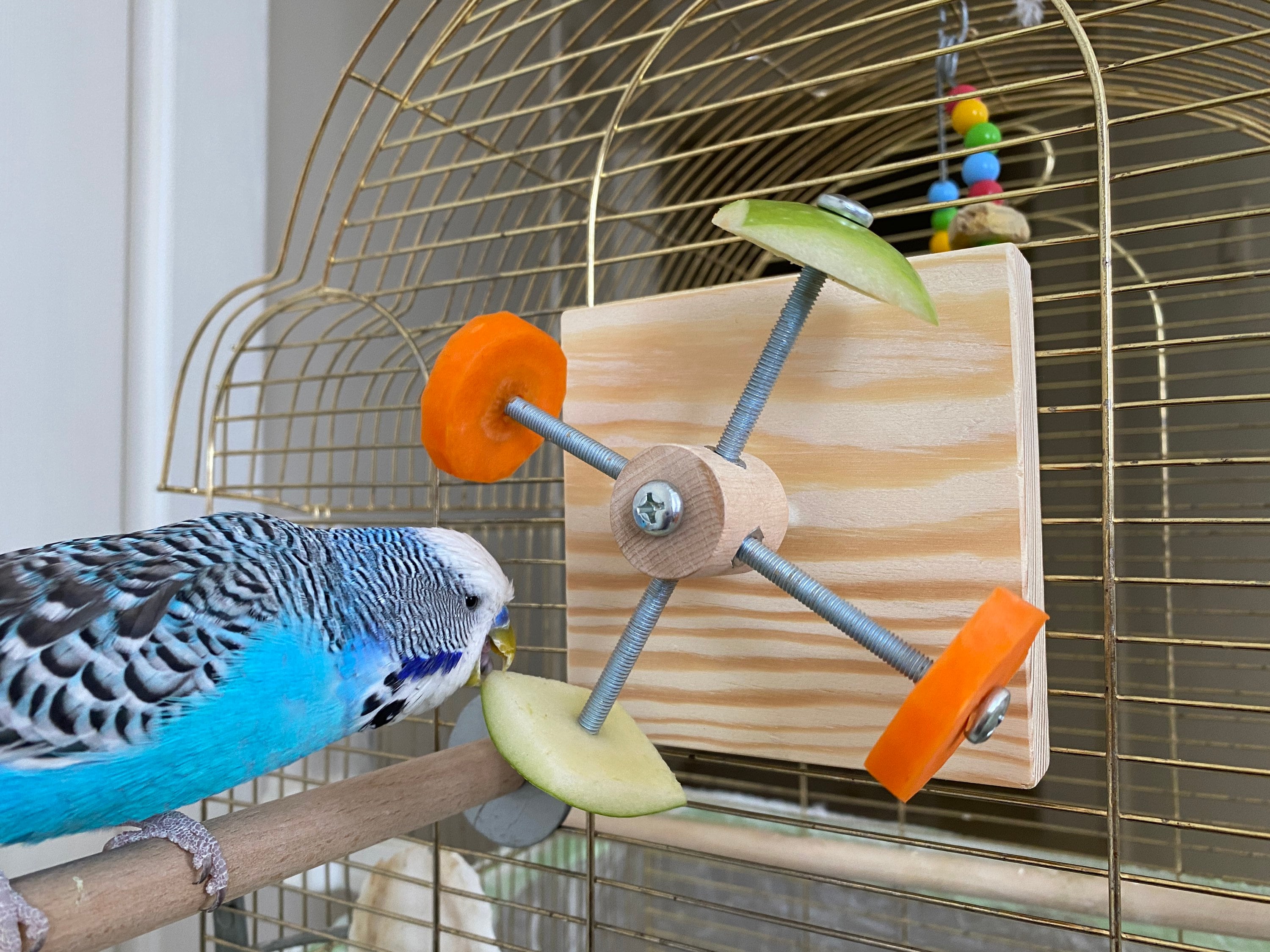 新鮮な餌フィーダー、鳥用ホルダーおもちゃ、セキセイインコ、インコ