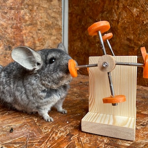 Chinchilla Feeder Wheel Toy, Chinchilla Cage Accessories, Chinchilla Food, Chinchilla Ledge, Chinchilla House