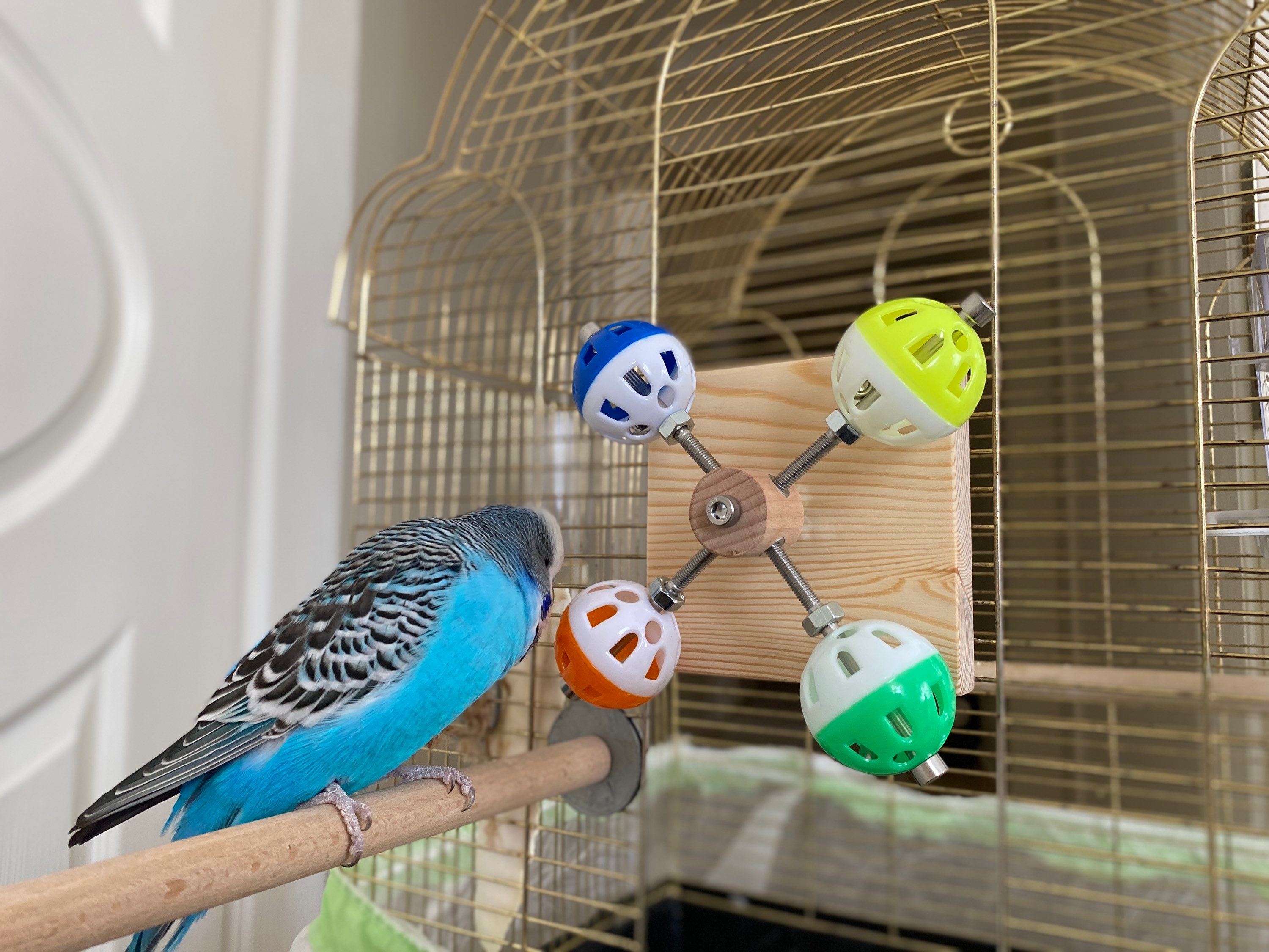 Rotating Colorful Balls Toy for Birds, Budgies, Budgerigars, Parakeets, Parrots, Cockatiels, Parrotlets, Lovebirds, Conure, Caique, Lorikeet