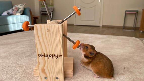 Playset hamster deals