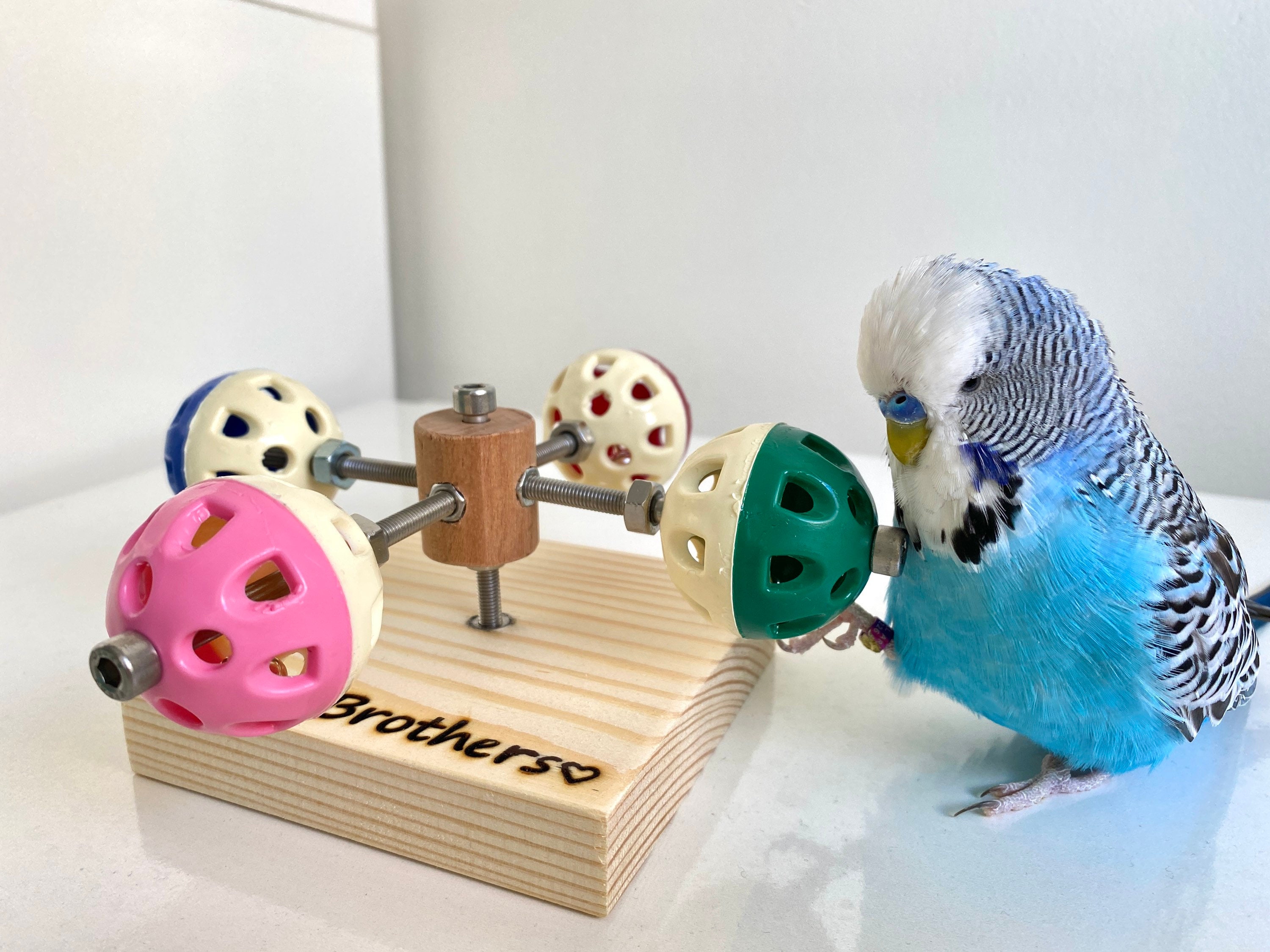 Rotating Bird Toy With Bell, Budgie Toy, Parakeet Toy, Parrot Toy, Perch,  Cage Accessories, Plastic Ball for Birds 