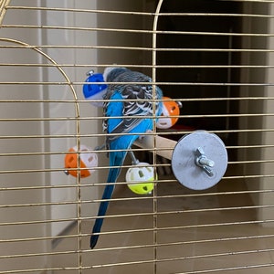 Perch Toy with Rotating Balls for Budgies, Budgerigars, Parakeets, Parrots, Cockatiels, Parrotlets, Lovebirds, Ringnecks, Conures and birds. image 5