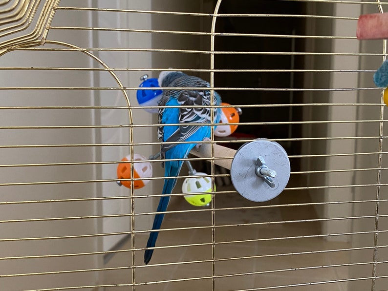 Perch Toy with Rotating Balls for Budgies, Budgerigars, Parakeets, Parrots, Cockatiels, Parrotlets, Lovebirds, Ringnecks, Conures and birds. image 5