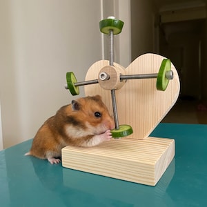 Heart Shape Hamster Treat Feeder Toy, Wheel, Food holder, Stand, cage accessories