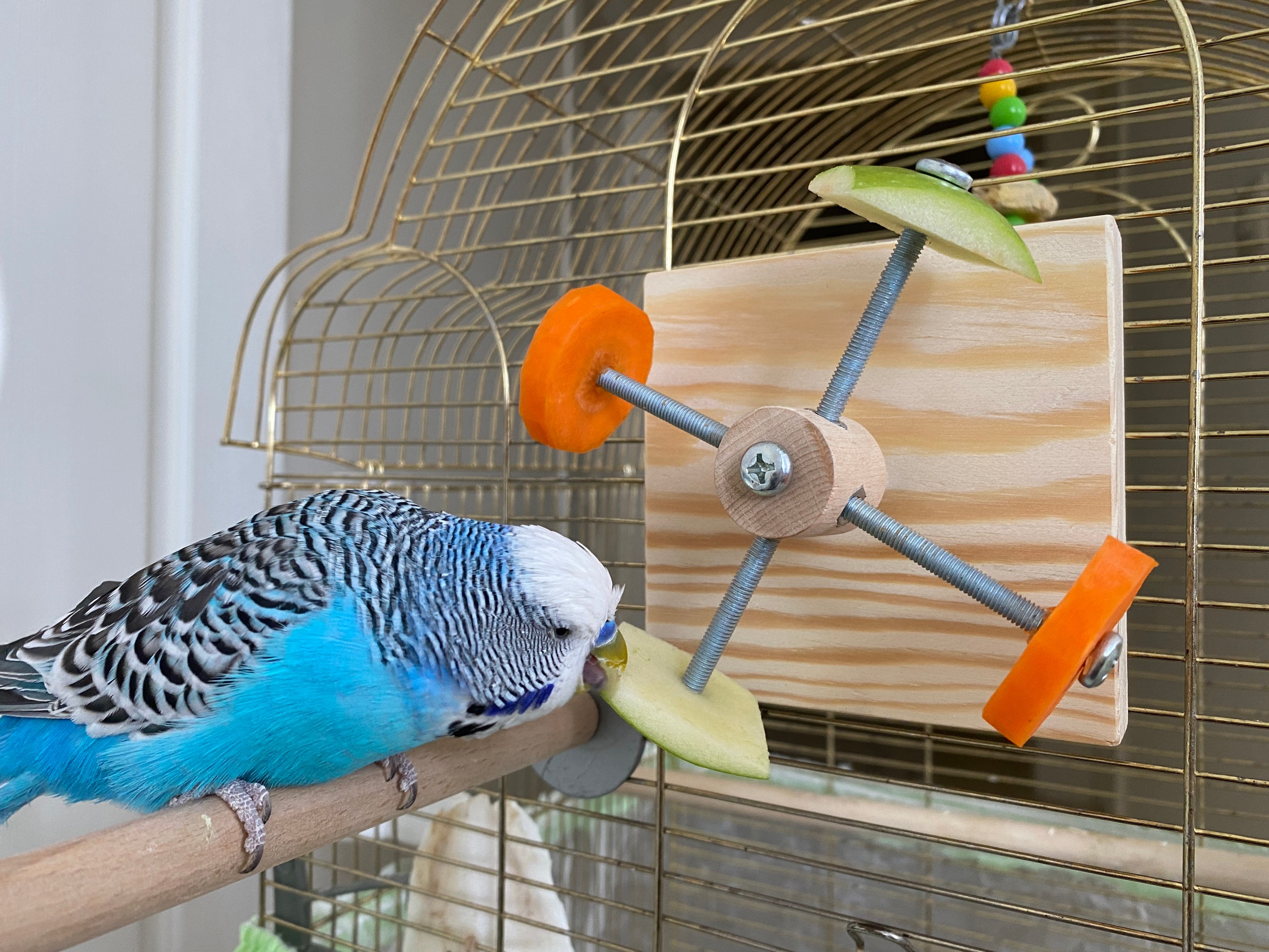 LOREMYI Comedero para pájaros columpio para pájaros silvestres soporte para exterior porche decorativo juguete para pájaros de madera para entrenamiento de loros 