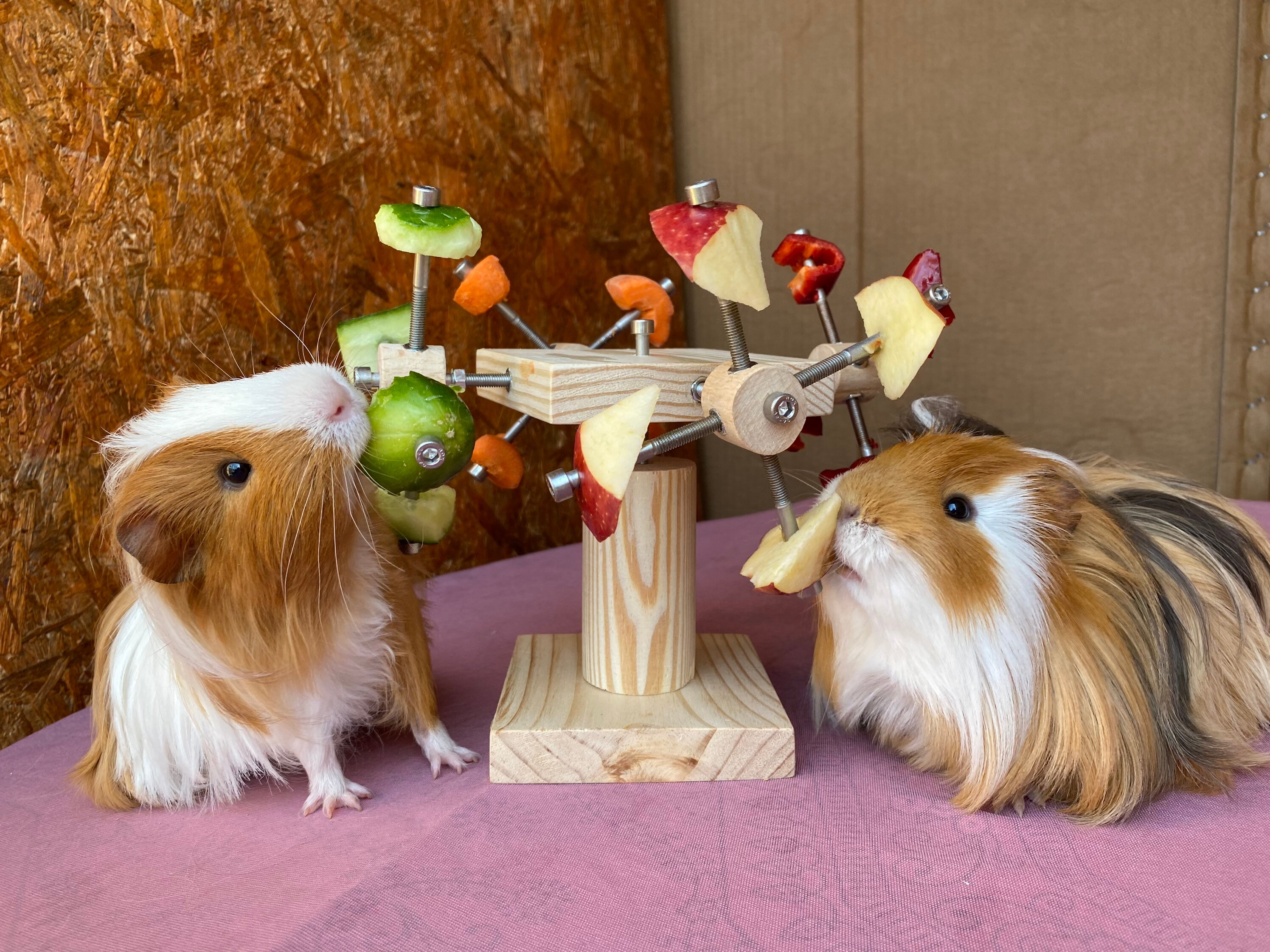 2 Pack Guinea Pig Foraging Toys, Guinea Pig Enrichment Toys Wooden Interactive Bunny Puzzle Toys, Small Animals Hide Treats Dispenser For Hamster, Rabbits, Bunny, Chinchillas