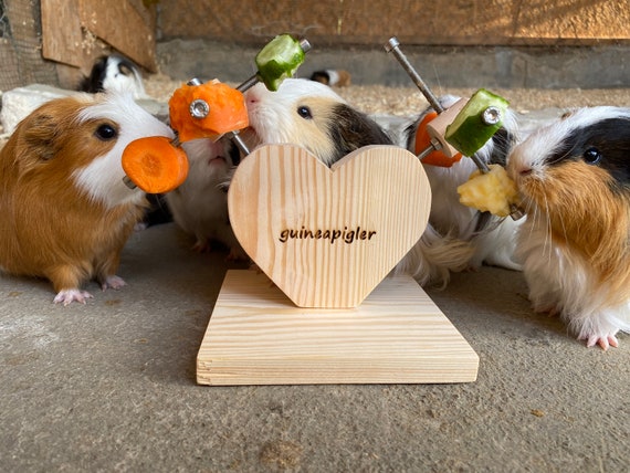 Guinea sales pig supplies