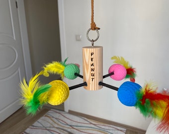 May include: A wooden bird toy with five colorful balls and feathers. The toy is labeled "PEANUT" and hangs from a string.