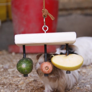Rectangular Food Holder Toy for Guinea Pig, Rabbit, Hamster, Chinchilla image 5