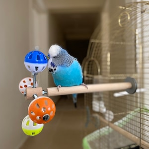 Perch Toy with Rotating Balls for Budgies, Budgerigars, Parakeets, Parrots, Cockatiels, Parrotlets, Lovebirds, Ringnecks, Conures and birds. image 8