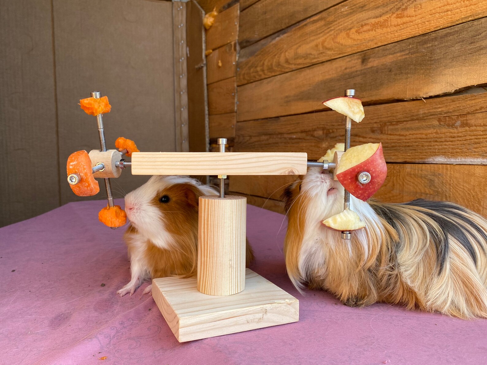 Guinea Pig double feeder wheel guinea pig toys accessories Etsy