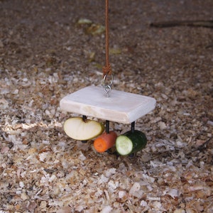 Rectangular Food Holder Toy for Guinea Pig, Rabbit, Hamster, Chinchilla image 8