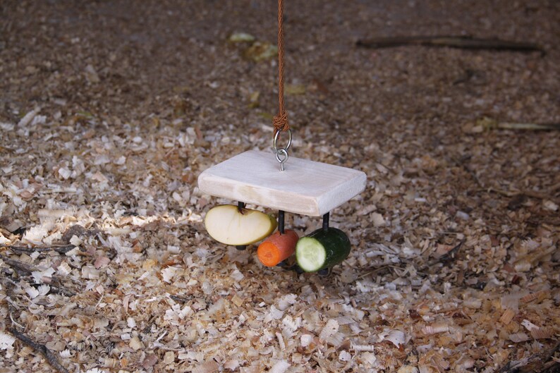 Rabbit Rectangular Food Holder Toy for Guinea Pig Hamster Chinchilla
