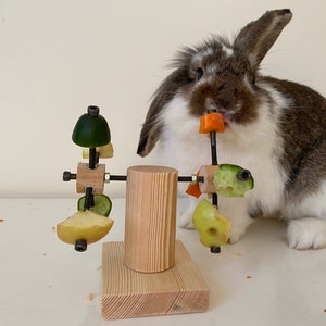 Personalized Cylinder double wheel Rabbit Bunny feeder toy, accessories, chew, house, hutch