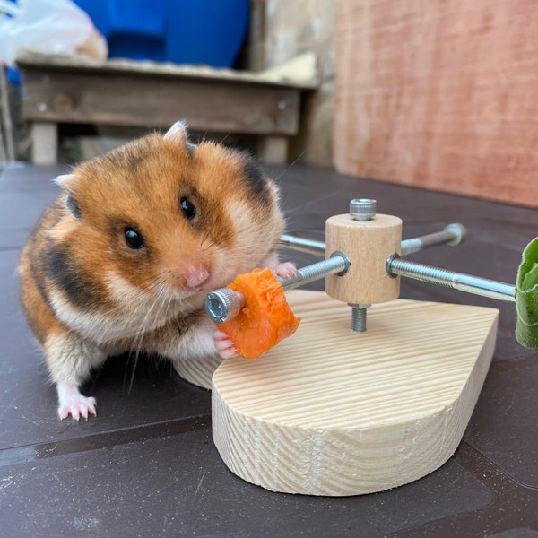 Hartvorm hamster feeder speelgoed, voedsel en traktatie houder, kooi accessoires, hamster wiel, hamster huis