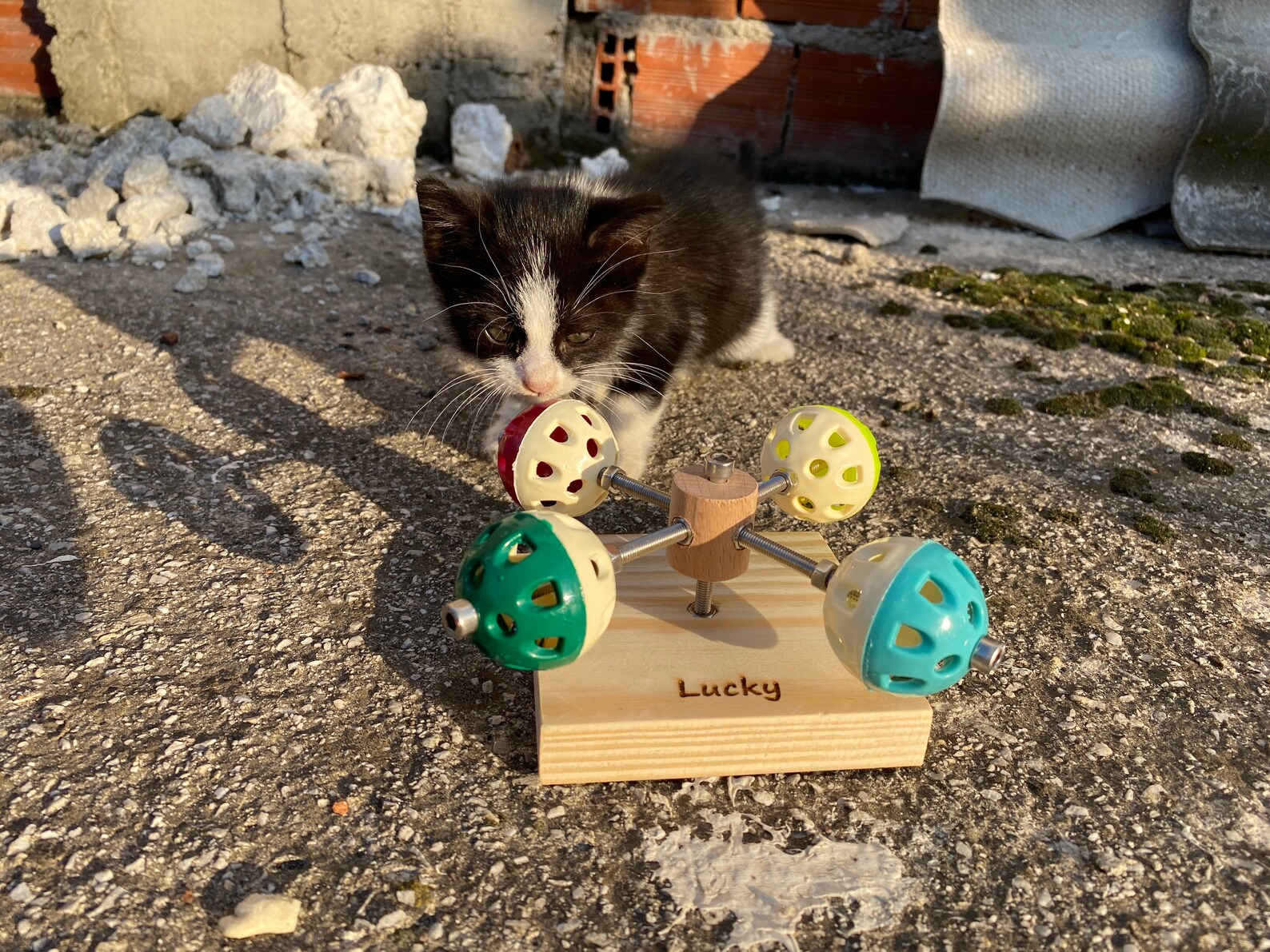 Custom Rotating Cat Toy With Bell Balls Wooden Cat Toy Etsy