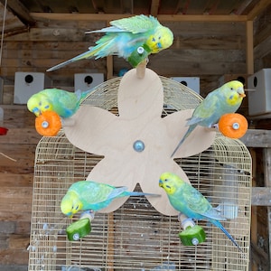 Flower Ferris Wheel Toy with 5 Perches for Birds, Feeder Food Holders, Foraging Swing Toy, Playground for Budgie, Parakeet, Parrot Cockatiel