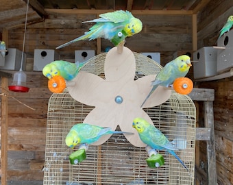 Blumen-Riesenrad-Spielzeug mit 5 Sitzstangen für Vögel, Futterfutter-Halter, Schaukelspielzeug für Wellensittiche, Sittiche, Papageien- Nymphensittiche