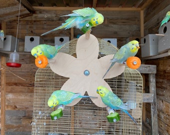 Giocattolo con ruota panoramica a fiori con 5 trespoli per uccelli, portacibo per mangiatoia, altalena per foraggiamento, parco giochi per pappagalli, parrocchetti, pappagalli Cockatiel