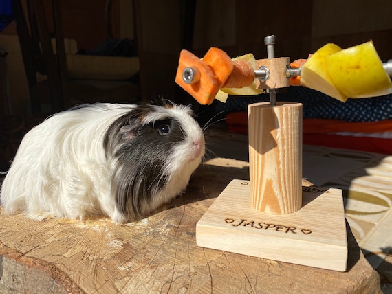 Spinner Toy for Guinea Pigs Cavy Toys Guinea Pig Food Holder