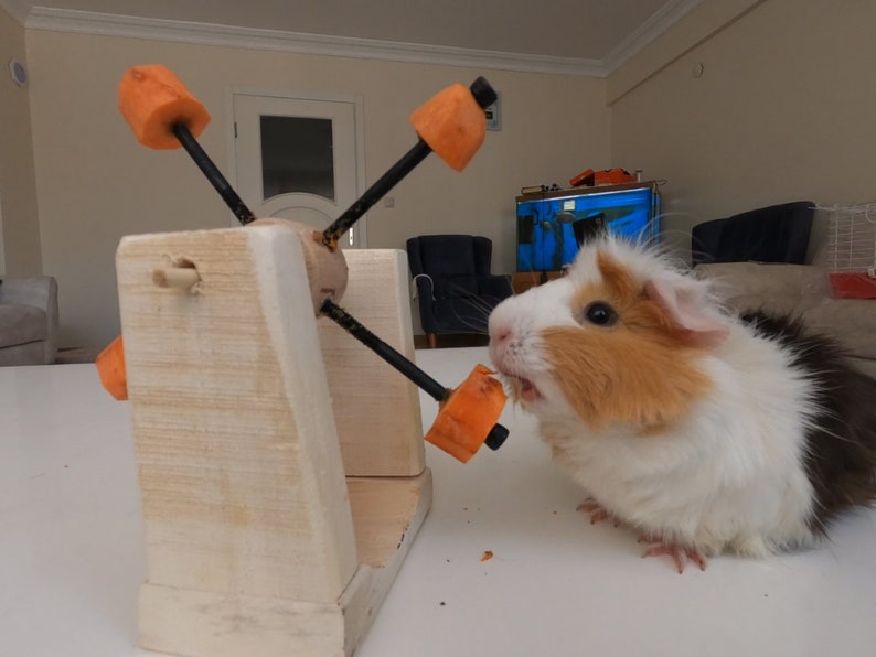 Guinea Pig-Rabbit-Hamster Feeding Toy image 3