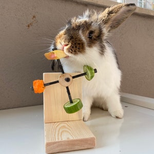 Rabbit Wheel,Rabbit Feeder Toy, rabbit accessories, rabbit wood, rabbit chamber, rotating toy
