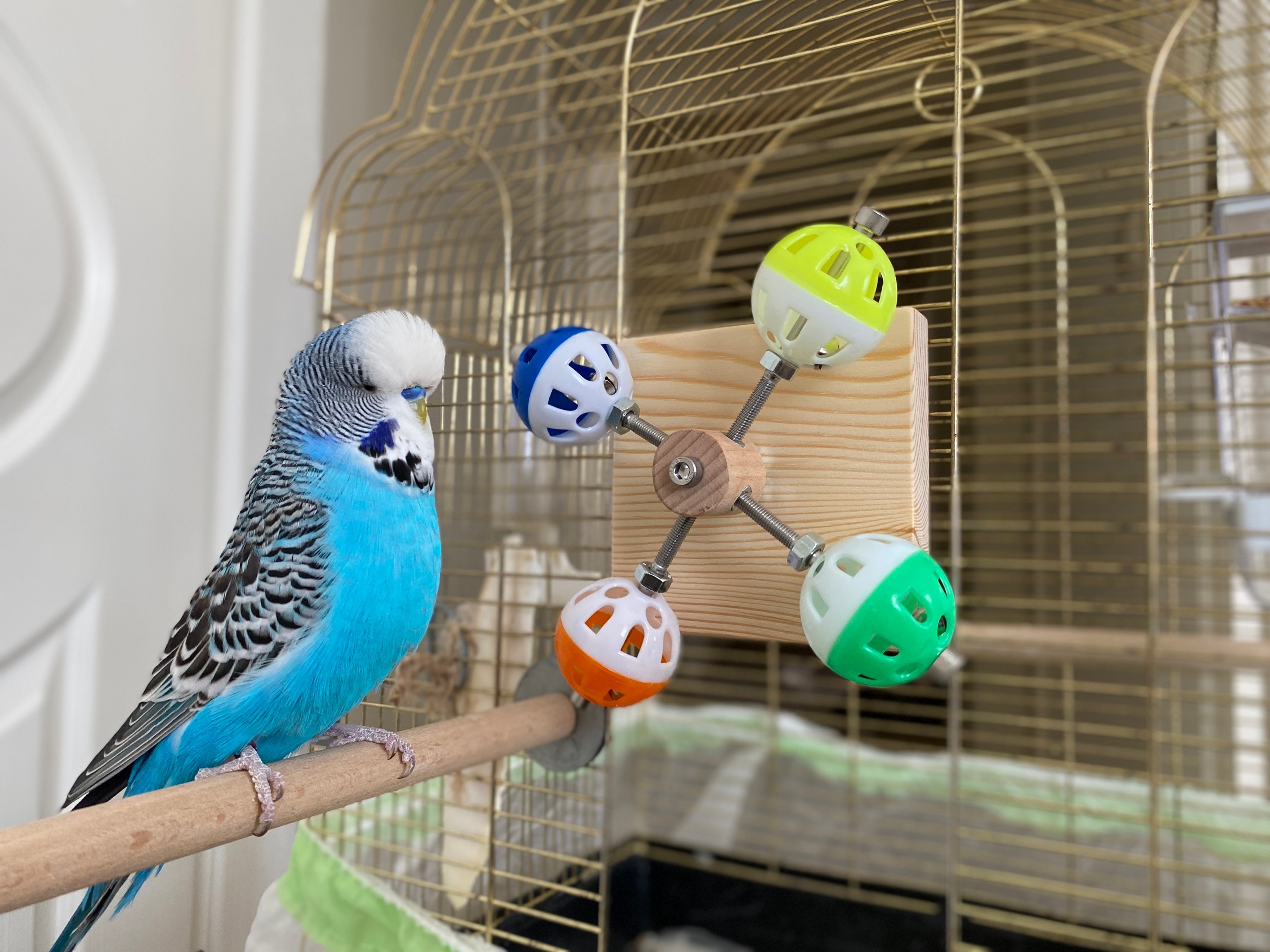 Rotating Colorful Balls Toy for Birds, Budgies, Budgerigars, Parakeets, Parrots, Cockatiels, Parrotlets, Lovebirds, Conure, Caique, Lorikeet