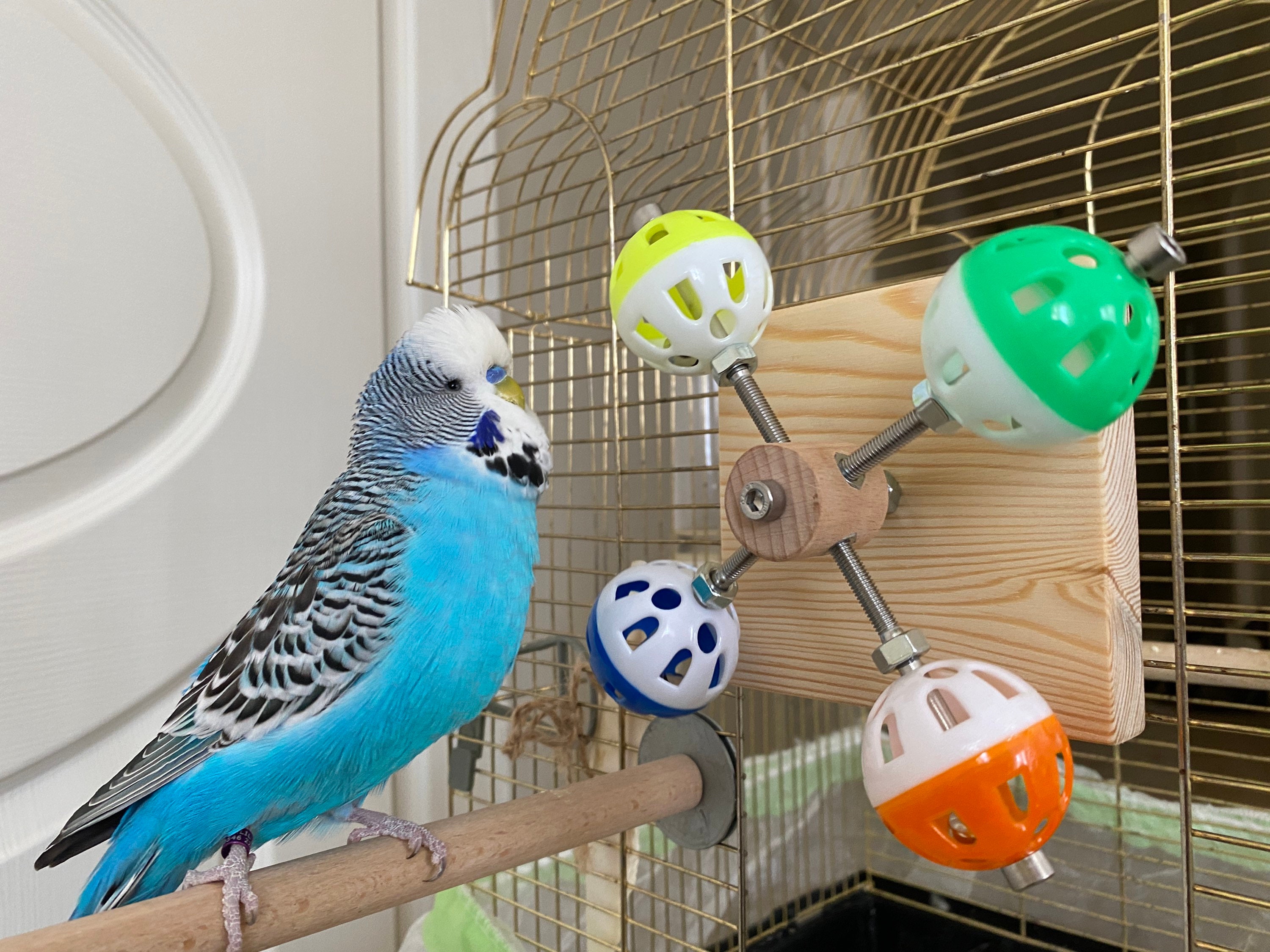 Rotating Colorful Balls Toy for Birds, Budgies, Budgerigars, Parakeets, Parrots, Cockatiels, Parrotlets, Lovebirds, Conure, Caique, Lorikeet