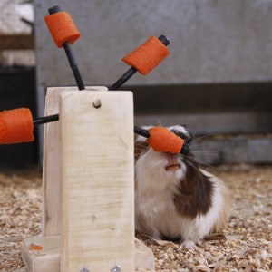 Guinea Pig-Rabbit-Hamster Feeding Toy image 8