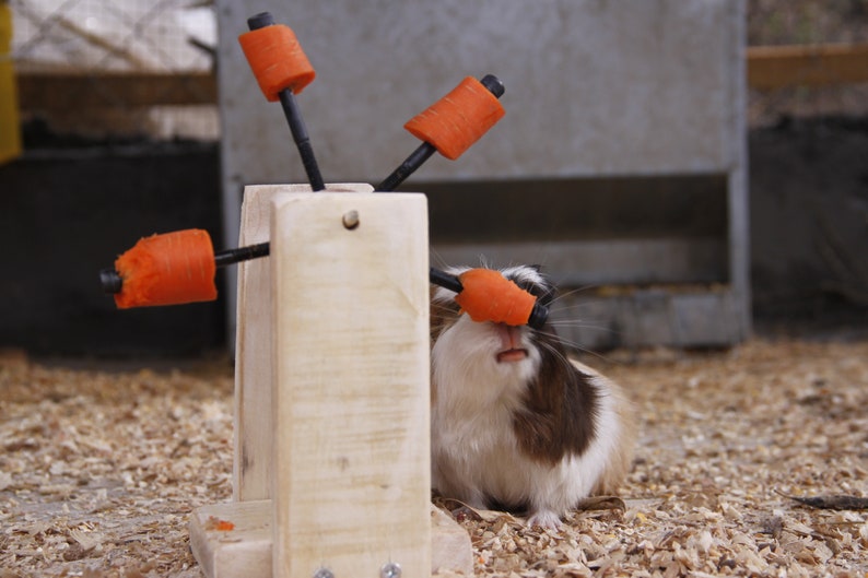 Guinea Pig-Rabbit-Hamster Feeding Toy image 8