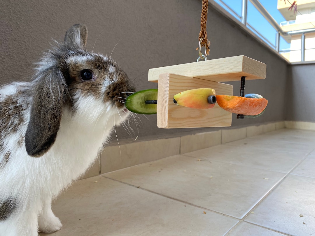 Diy Rabbit Enrichment Do Bunnies Need Toys Rabbit Enrichment Diy