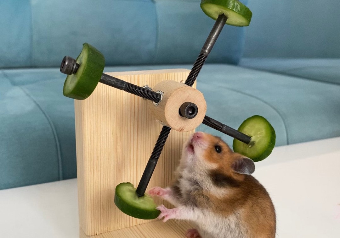 Image showcasing Rotating Hamster Feeder Toy, Hamster Feeder, Hamster Food, Hamster ...