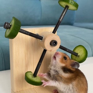 Brinquedo rotativo alimentador de hamster, alimentador de hamster, comida de hamster, roda de hamster, deleite de hamster, item de hamster, mastigação de hamster