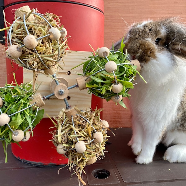 Rabbit Hay Feeder Etsy