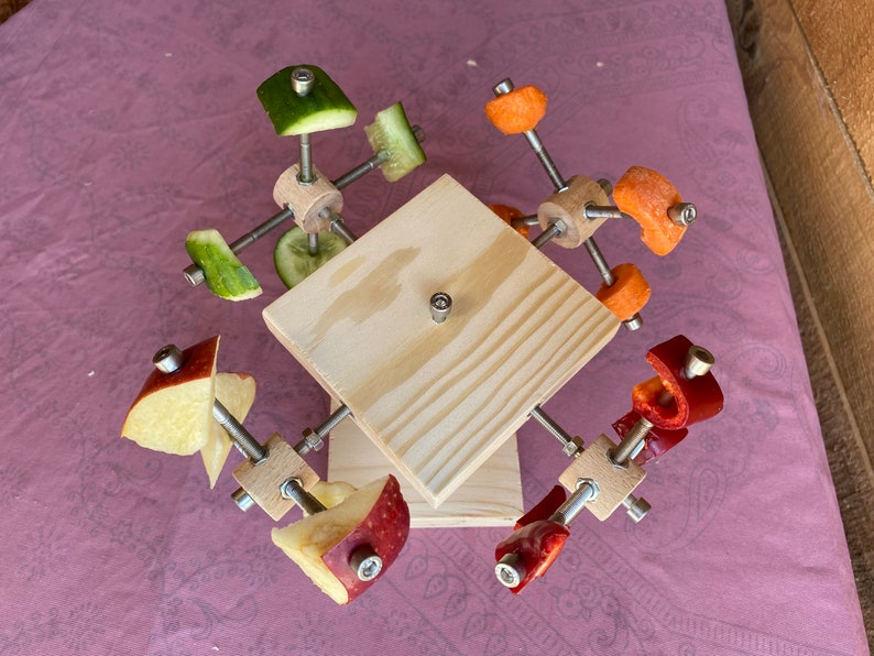 May include: A wooden toy with a rotating base and four arms, each holding a different piece of fruit or vegetable. The fruit and vegetables are red apple, green cucumber, orange carrot, and red bell pepper.