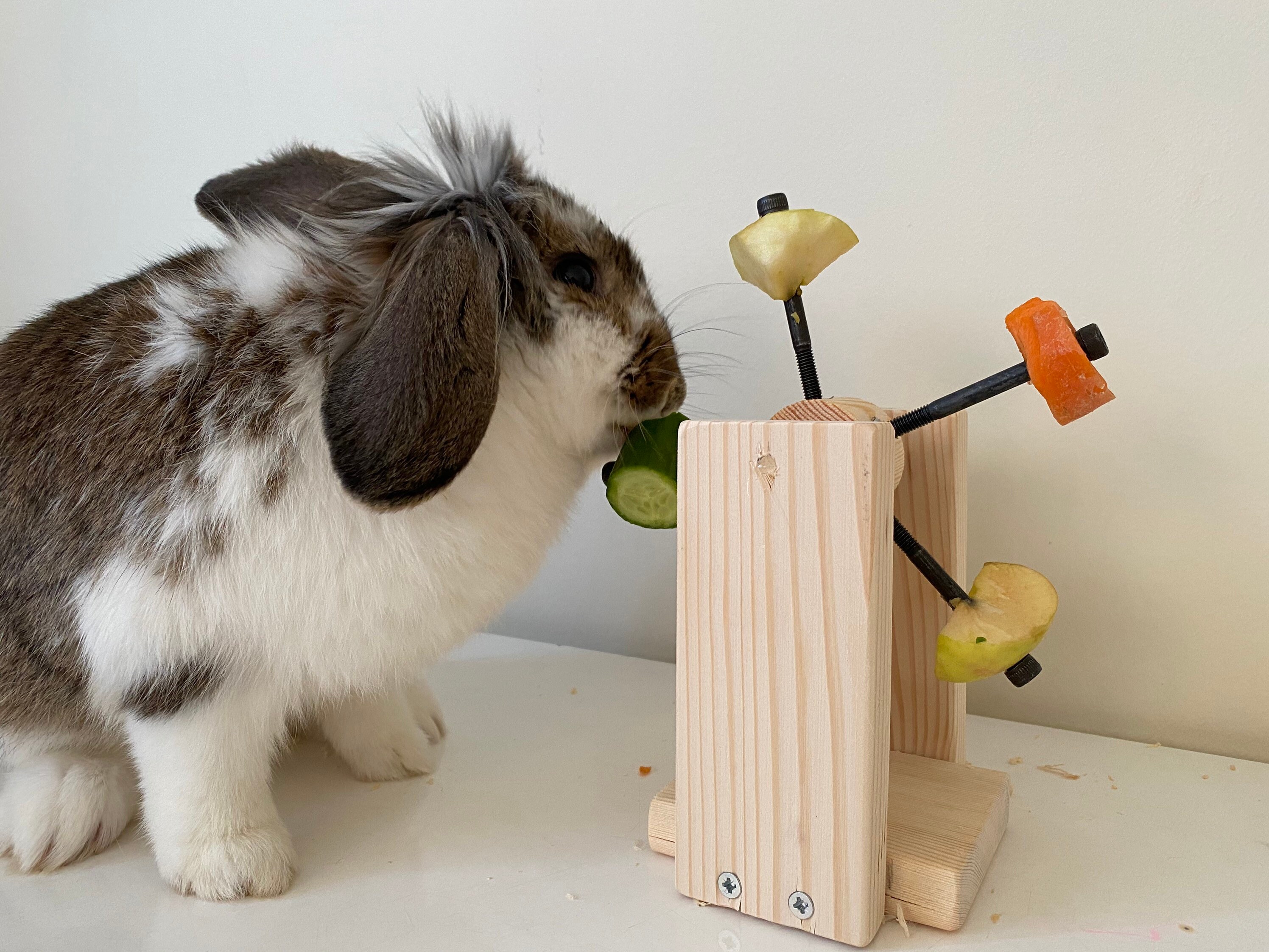 Rotating Rabbit Feeder Toy Rabbit Food Holder Rabbit Food Rabbit Wheel Rabbit Wood Chewing Toy for Bunnies Rabbit Gift