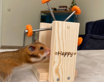 Hamster feeder wheel, rotating toy, hamster food stand, wood toy, chew toy, rat, chinchilla, rodent toys