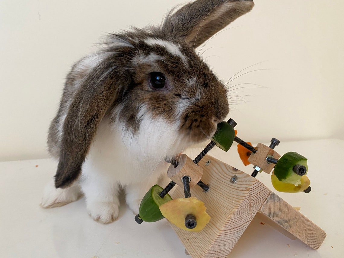 Rabbit Feeder Toy rabbit wood toy rotating rabbit toy bunny Etsy