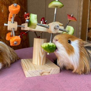 May include: A wooden toy with a rotating arm holding pieces of cucumber, carrot, and apple. Two guinea pigs are in the foreground, one eating from the toy and the other looking at the camera.